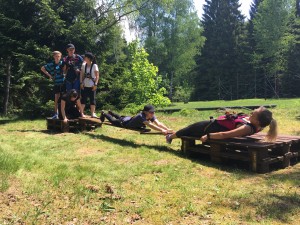IMG 0216              