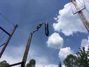 IMG 0236              