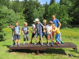 IMG 0857
