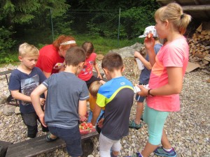 IMG 0917