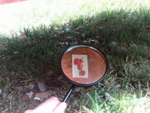 IMG 20160804 133817