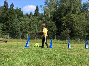 IMG 2539