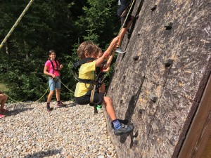 IMG 2668