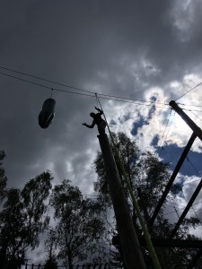 IMG 1541