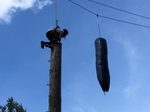 IMG 3131