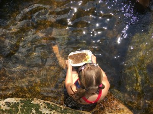 IMG 7776
