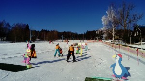 DSC 0067            