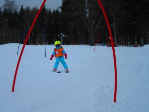 IMG 2453