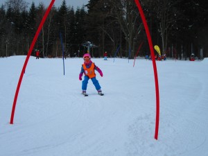 IMG 2454
