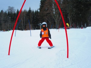 IMG 2464