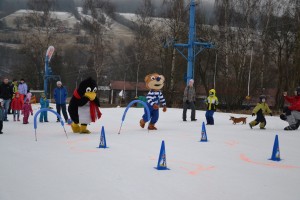 školička (3)        